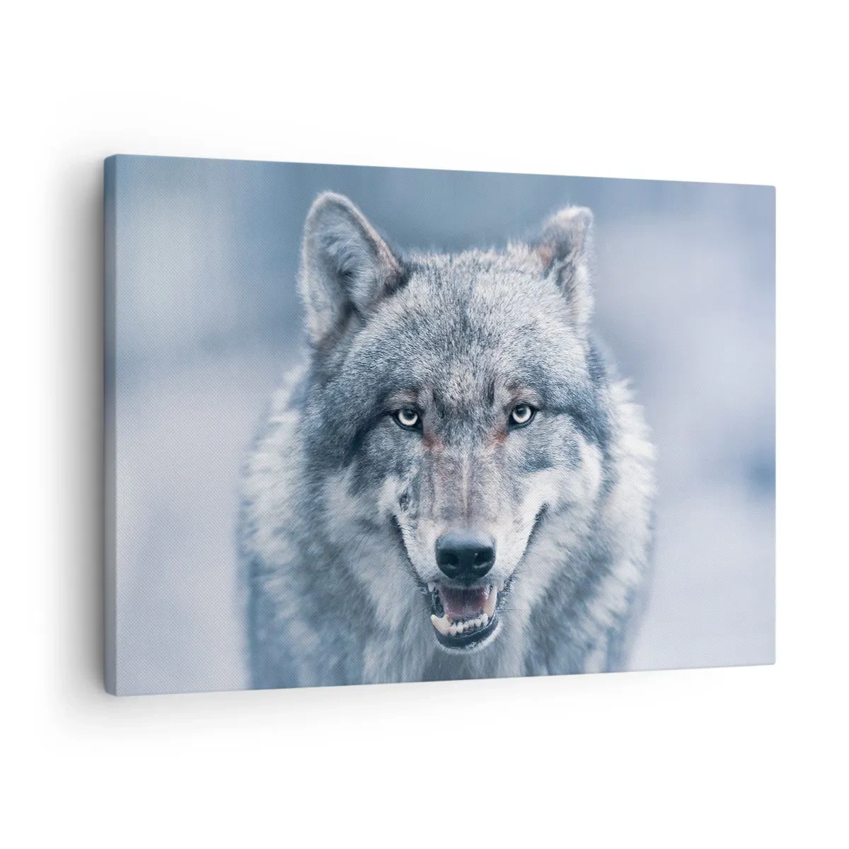 Canvastavla - Bild på duk - En varg med intensiv blick i ett vinterlandskap - 70x50cm - Tar du utmaningen? - Modern väggdekoration för vardagsrum och sovrum ARTTOR