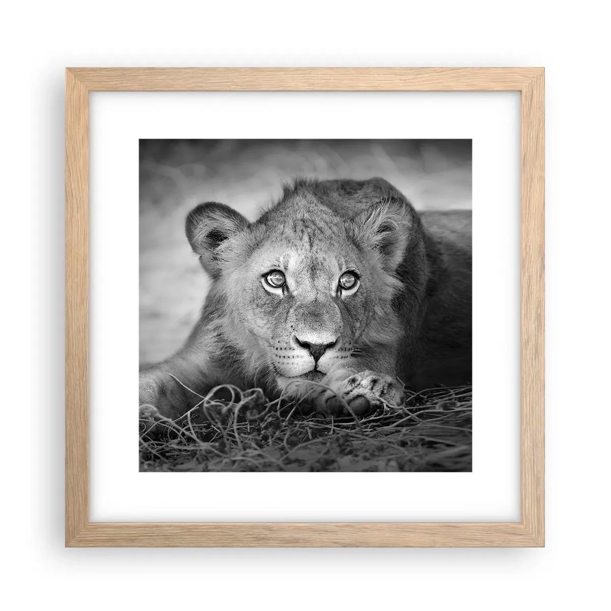 Affisch i ram av ljusek - Kunglig valp - 30x30 cm