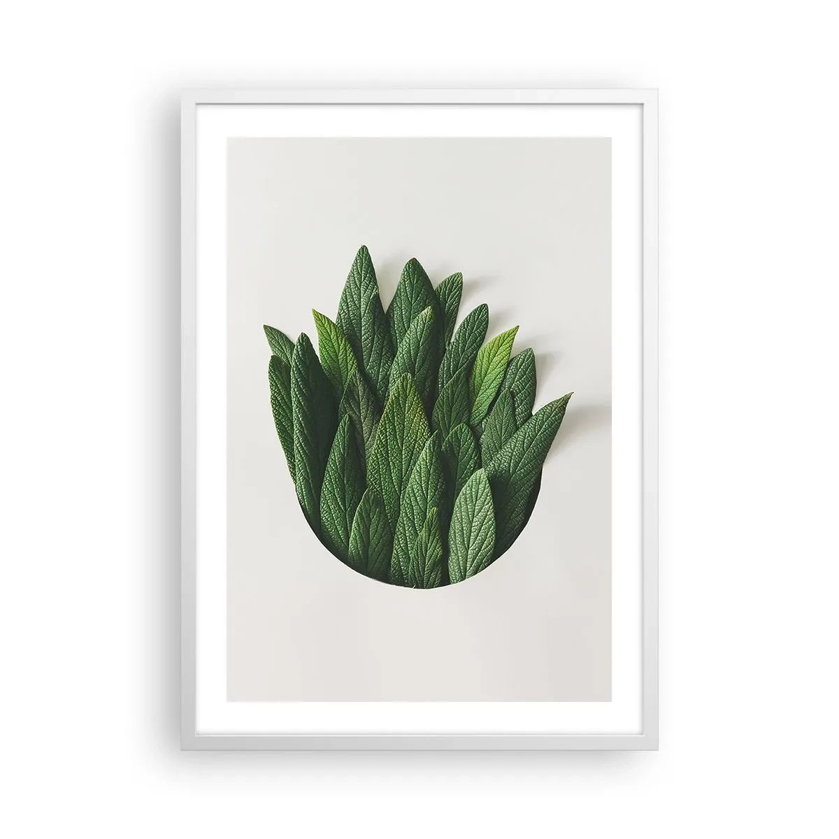 Affisch i vit ram - Ostoppbar nyfikenhet - 50x70 cm