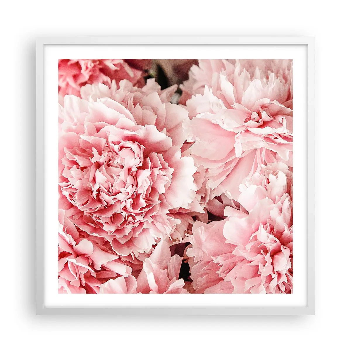 Affisch i vit ram - Rosa dröm - 60x60 cm