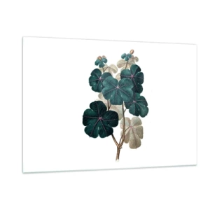 Glastavla - Bild på glas - Från ett gammalt herbarium - 120x80 cm