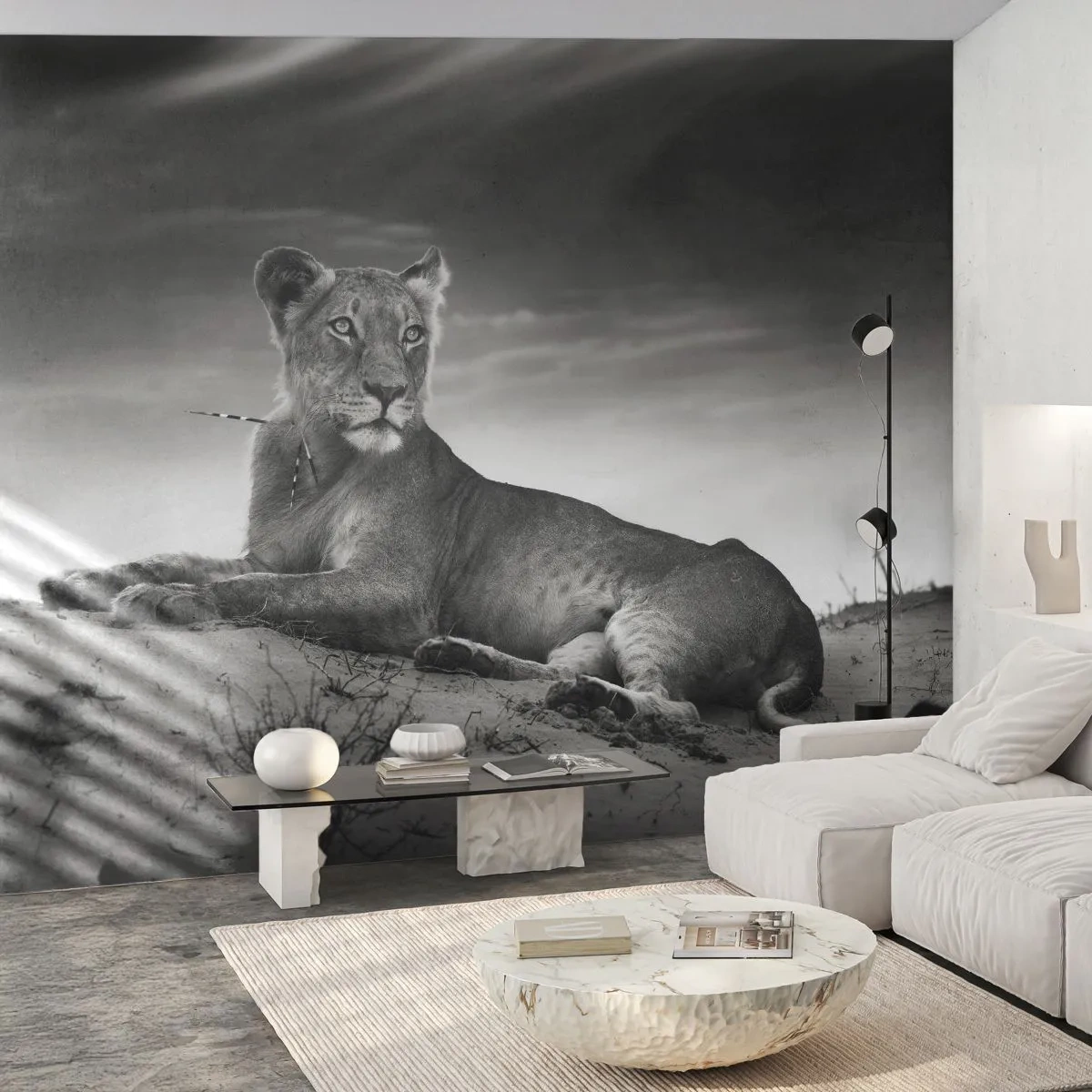 Självhäftande Fototapet Deluxe Sticker - Öknens drottnings vila - Djur, Lejon, Öken - 200x140 cm