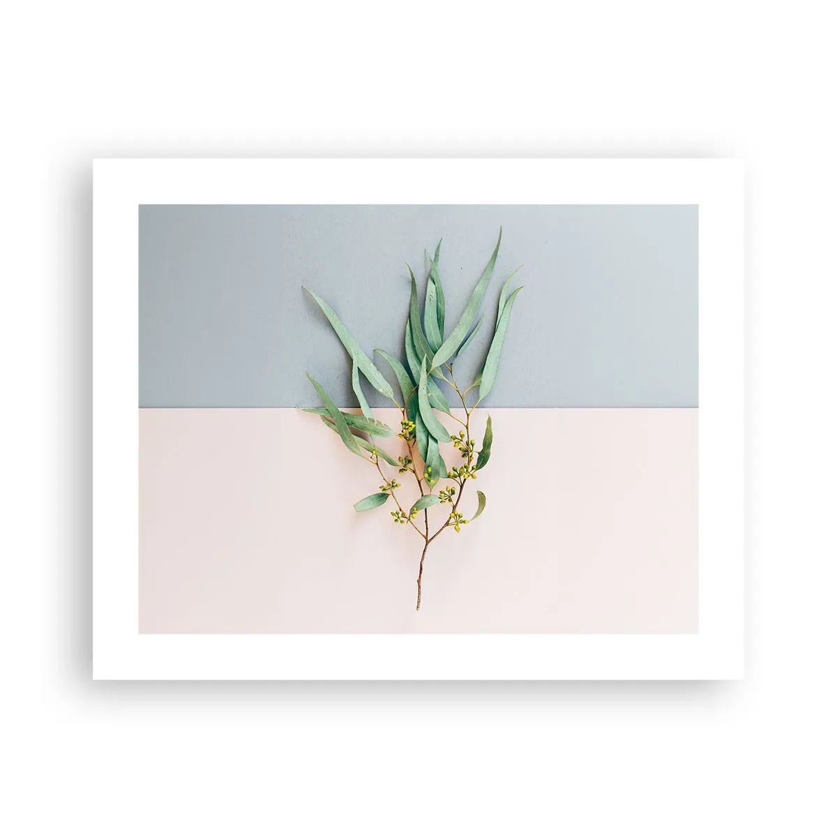 Affisch - Pastellens subtilitet - 50x40 cm