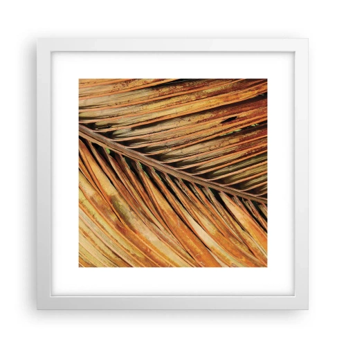 Affisch i vit ram - Kokosguld - 30x30 cm