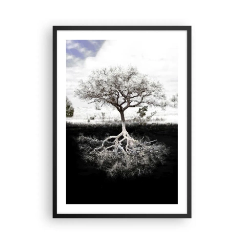 Affisch i svart ram - Ett minimalistiskt träd med ett synligt rotsystem - 50x70cm - Upptäckt av världens natur - Modern väggdekoration för vardagsrum och sovrum ARTTOR
