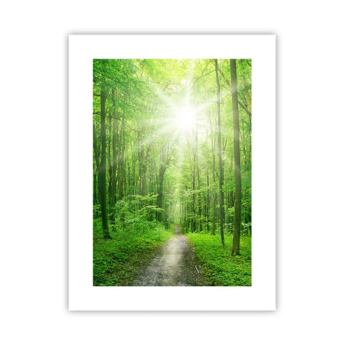 Affisch - Grön domkyrka - 30x40 cm