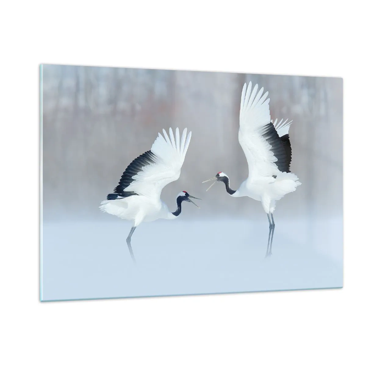 Glastavla - Bild på glas - Dansen i dimman - 120x80 cm