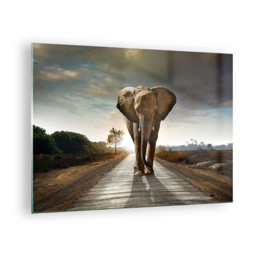 Glastavla - Bild på glas - En elefant som går längs vägen i solnedgången - 70x50cm - Inte alls i en porslinsbutik - Modern väggdekoration för vardagsrum och sovrum ARTTOR