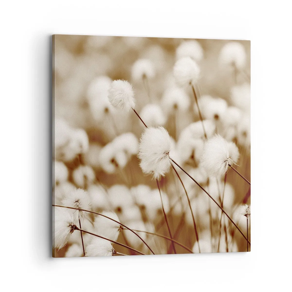 Canvastavla - Bild på duk - Fluffig åkermark - 70x70 cm