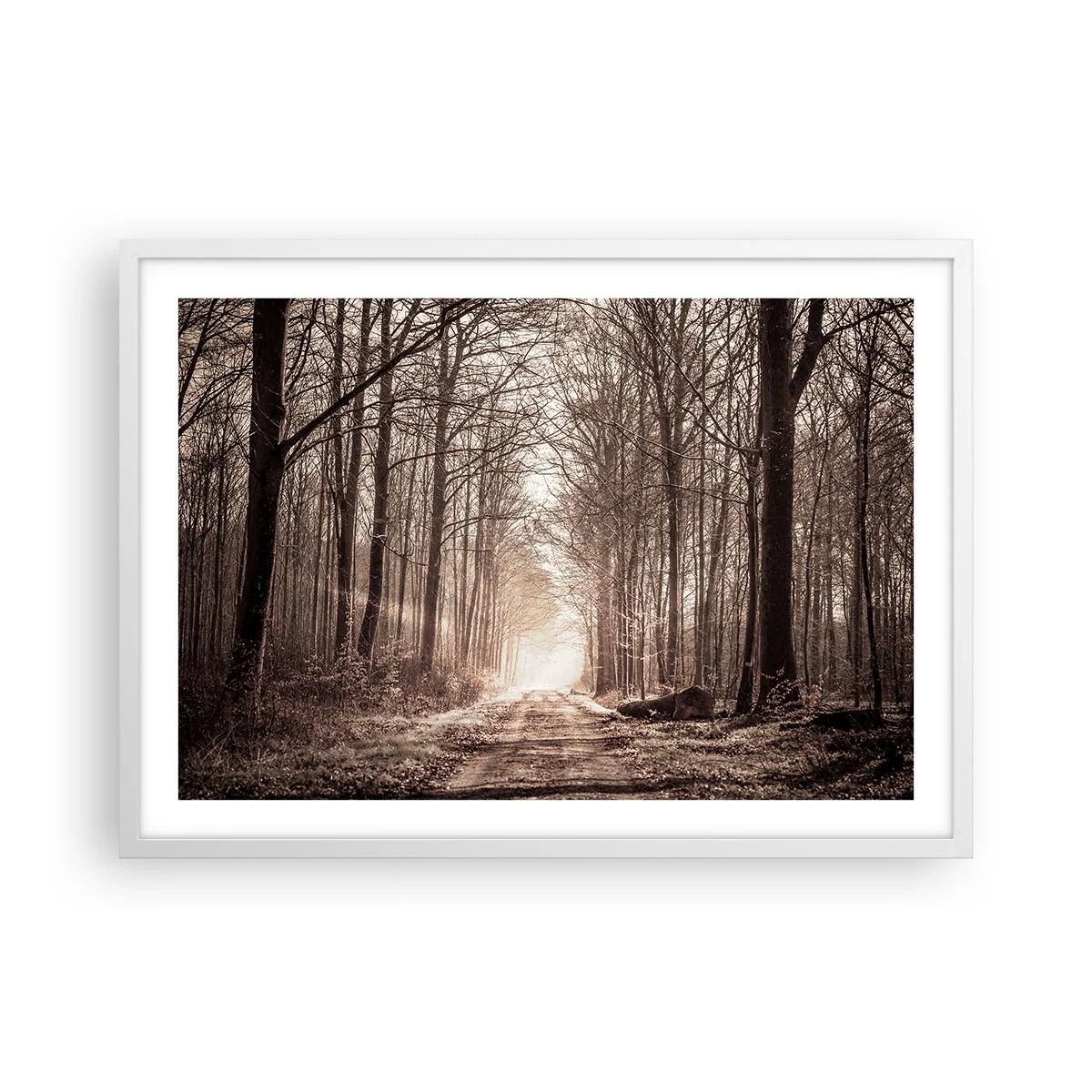 Affisch i vit ram - Skogens domkyrka - 70x50 cm