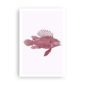 Affisch - En invånare i exotiska vatten - 61x91 cm