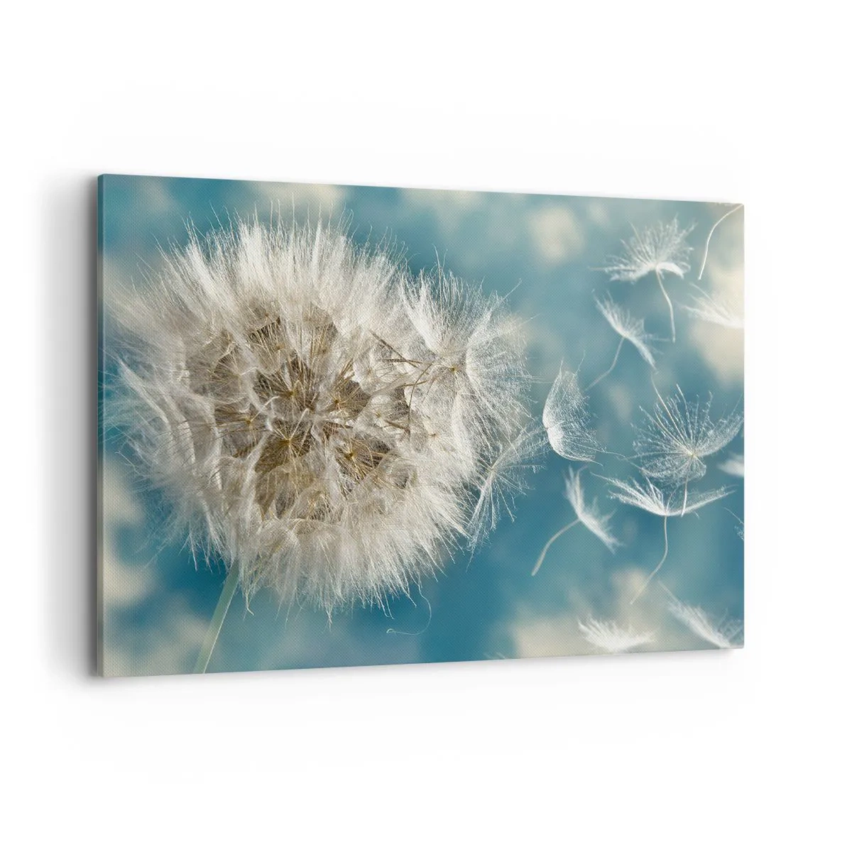 Canvastavla - Bild på duk - Ängelns andetag - 100x70 cm