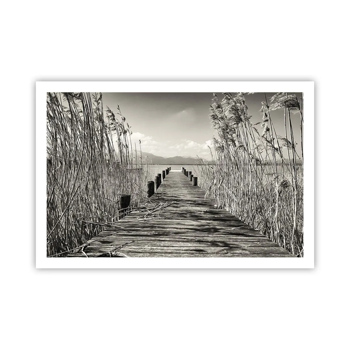 Affisch - I gräsets fristad - 91x61 cm