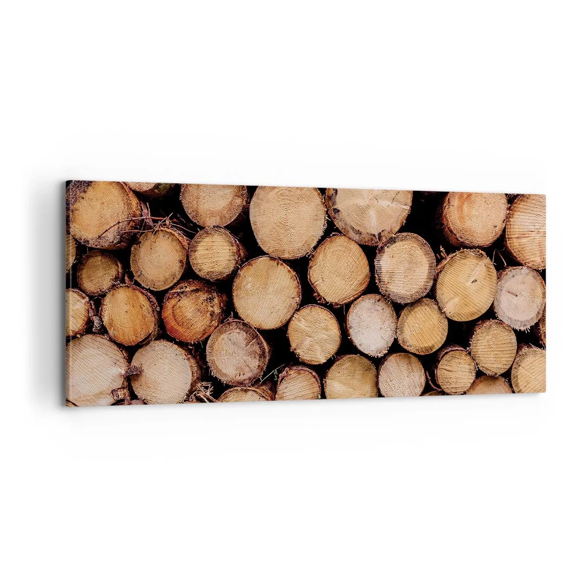 Canvastavla - Bild på duk - Ny början - 100x40 cm