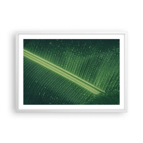 Affisch i vit ram - Grönskans struktur - 70x50 cm