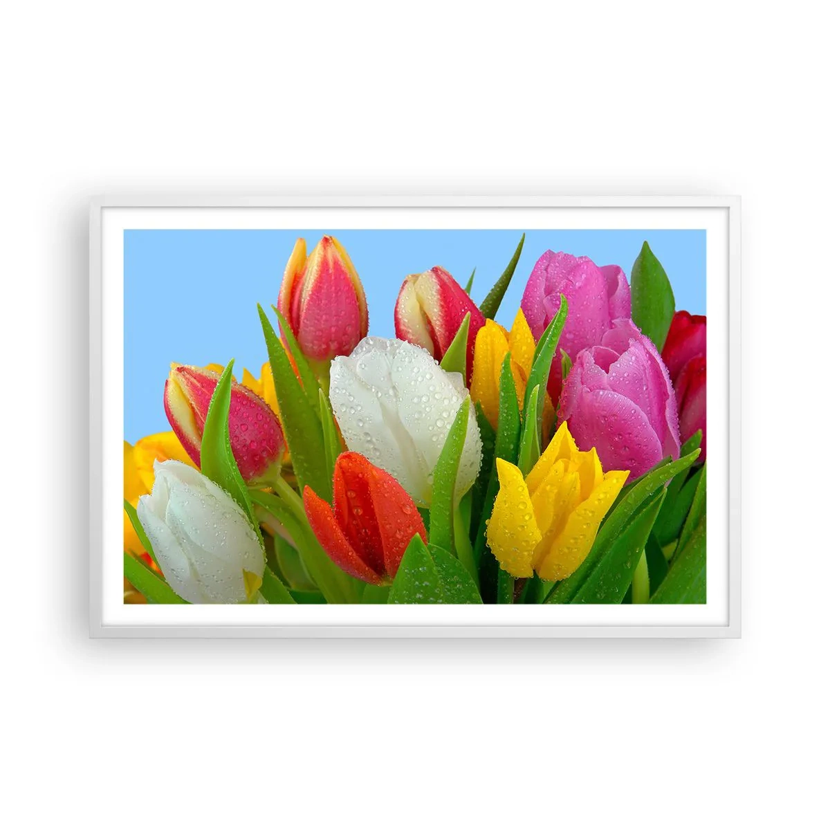 Affisch i vit ram - blommig regnbåge i daggdroppar - 91x61 cm