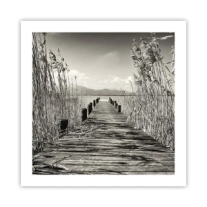 Affisch - I gräsets fristad - 50x50 cm