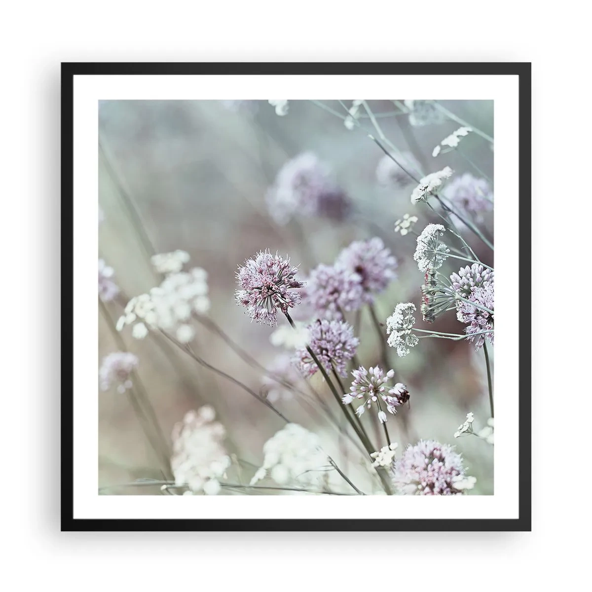 Affisch i svart ram - Söta örtfiligraner - 60x60 cm