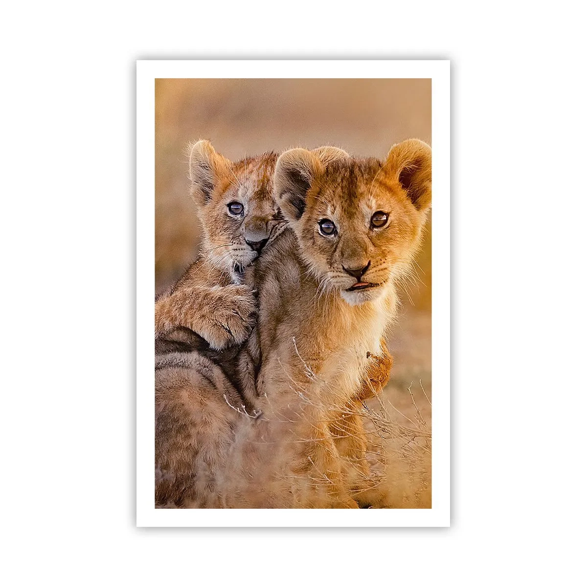 Affisch - Stör inte! Vi har kul - 61x91 cm