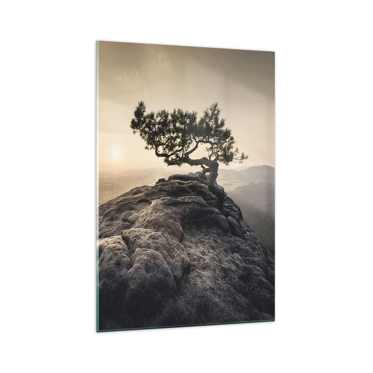 Glastavla - Bild på glas - Livet vinner alltid - 70x100 cm