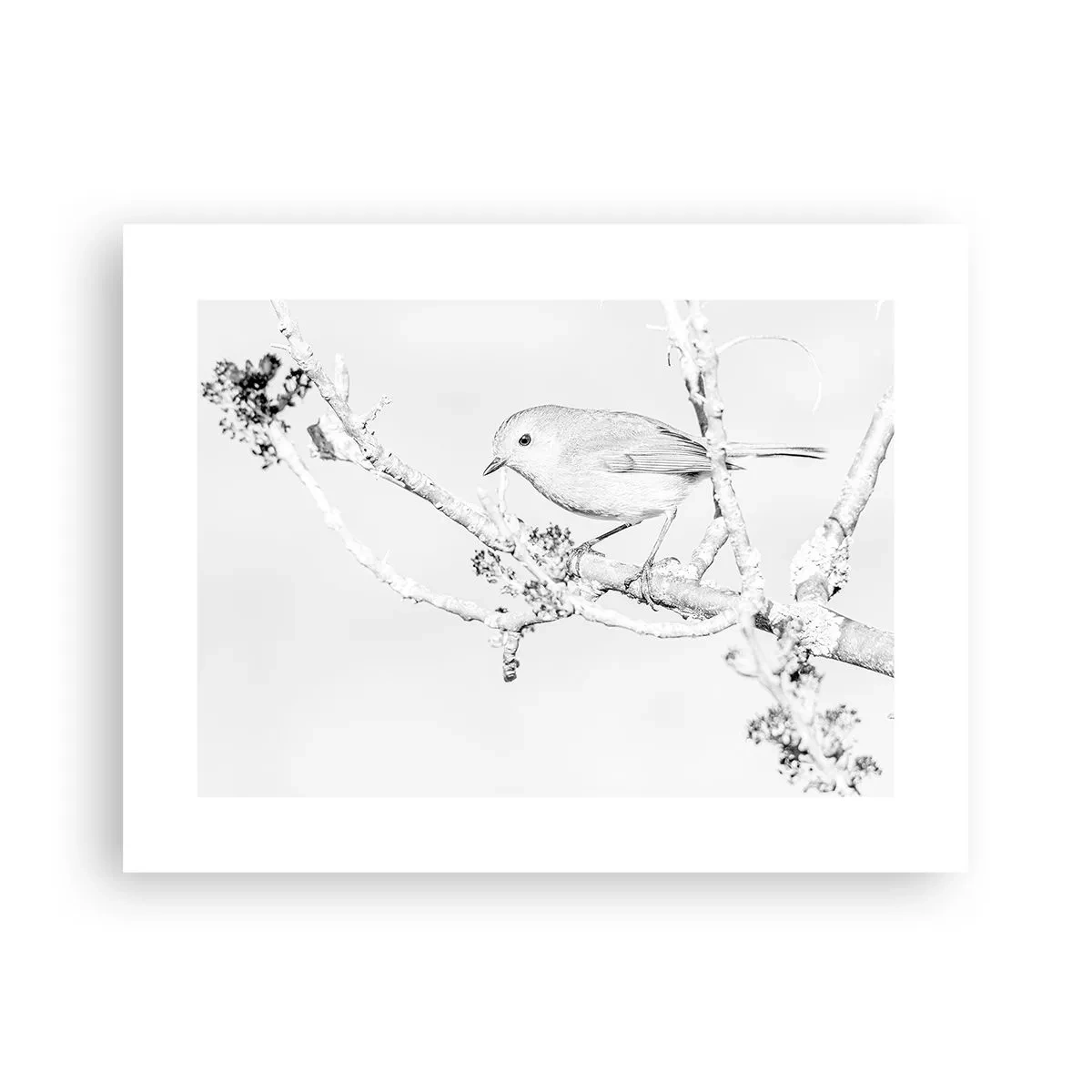 Affisch - Vintermorgon - 40x30 cm