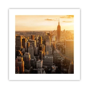 Affisch - Växa i solskenet - 40x40 cm