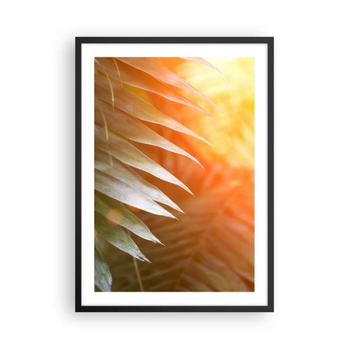 Affisch i svart ram - Palmblad i ljuset av den nedgående solen - 50x70cm - En morgon i djungeln - Modern väggdekoration för vardagsrum och sovrum ARTTOR