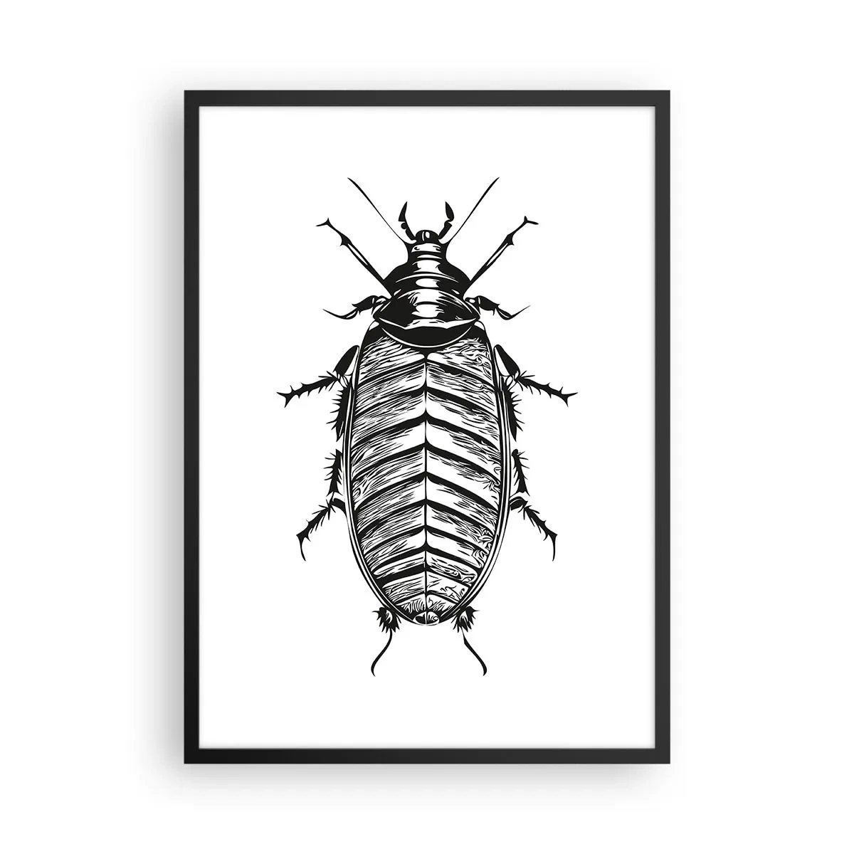 Affisch i svart ram - Svartvit illustration av en insekt i detaljhandelsstil - 50x70cm - Vilket exemplar! - Modern väggdekoration för vardagsrum och sovrum ARTTOR