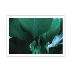 Affisch - Vända mot ljuset - 100x70 cm