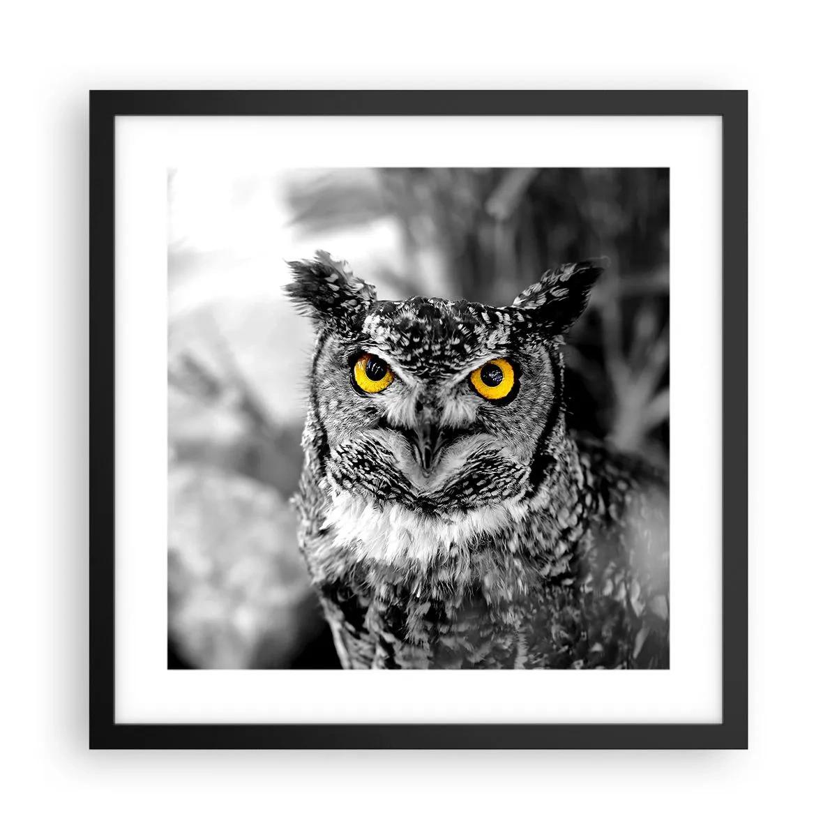 Affisch i svart ram - Inget kommer undan - 40x40 cm