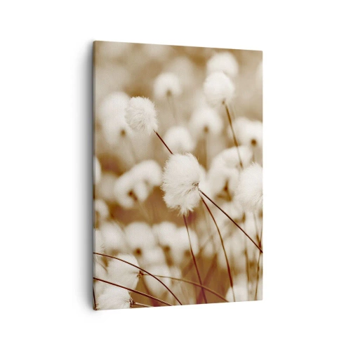 Canvastavla - Bild på duk - Fluffig åkermark - 50x70 cm