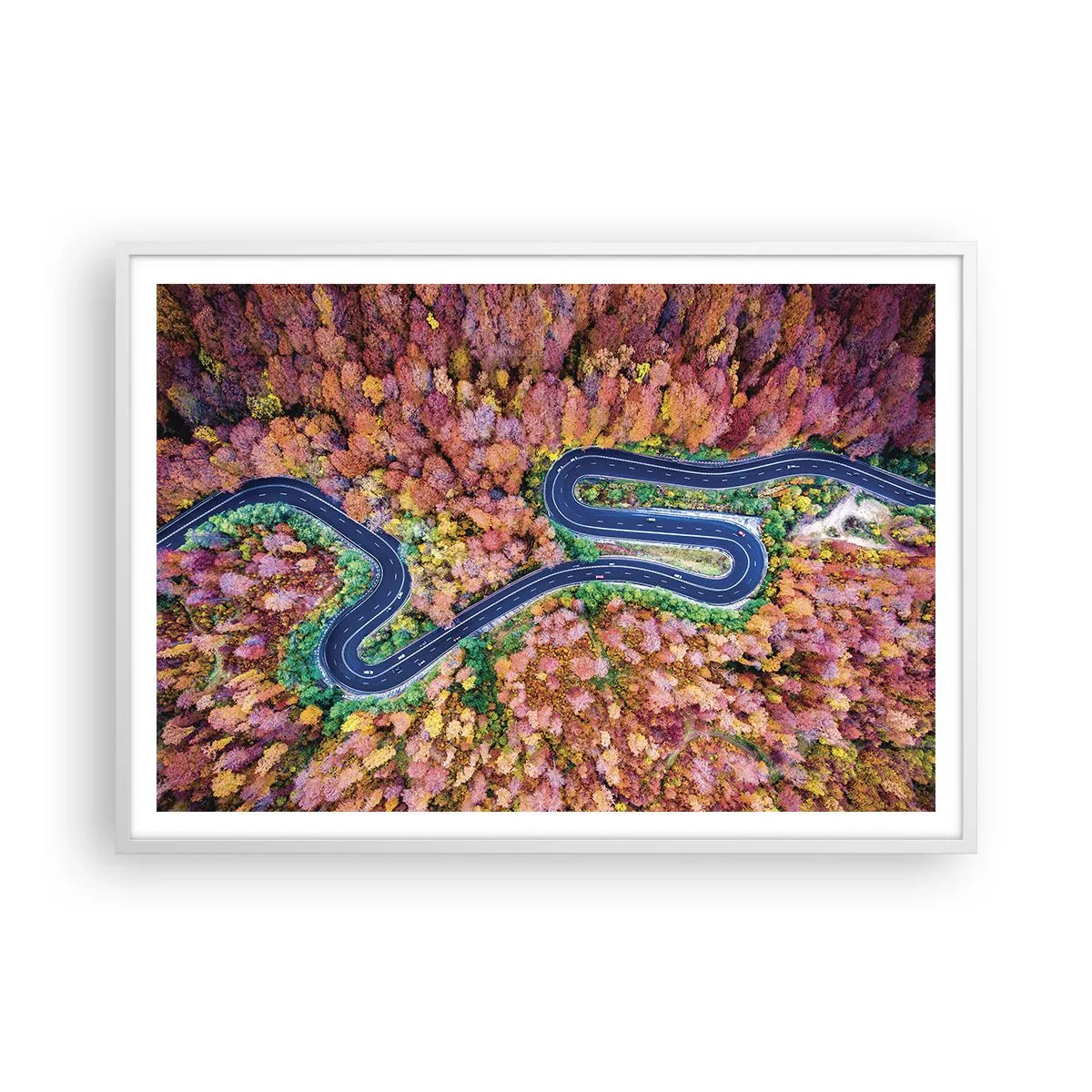 Affisch i vit ram - Slingrande väg genom skogen - 100x70 cm
