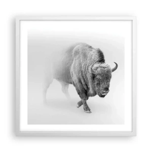 Affisch i vit ram - Präriens kung - 50x50 cm