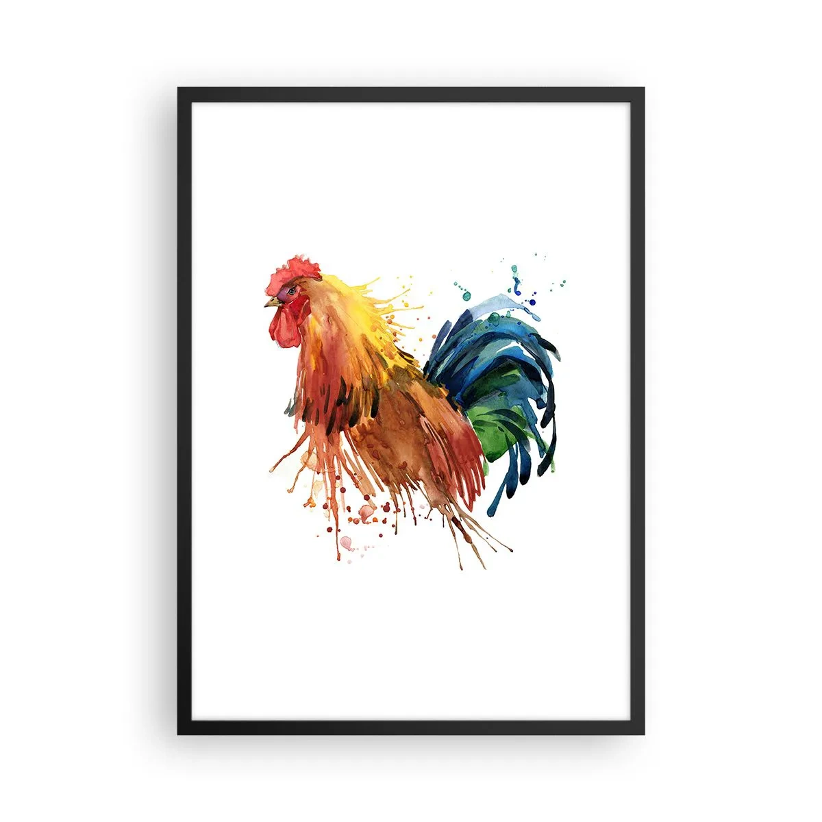 Affisch i svart ram - Färgglad tupp i akvarellstil - 50x70cm - Kungliga kläder, kunglig stolthet - Modern väggdekoration för vardagsrum och sovrum ARTTOR