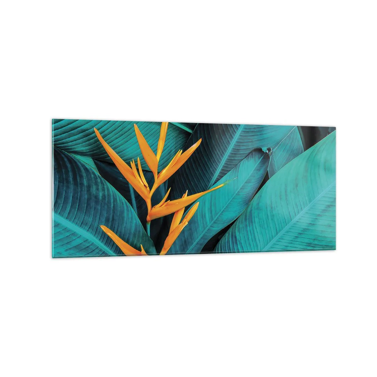 Glastavla - Bild på glas - Edens blomma - 120x50 cm