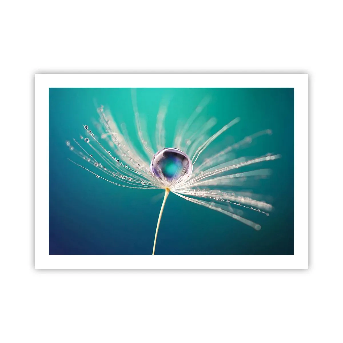 Affisch - Mystisk stund - 70x50 cm
