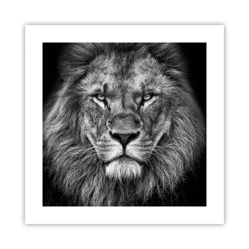 Affisch - I kröningskläder - 40x40 cm