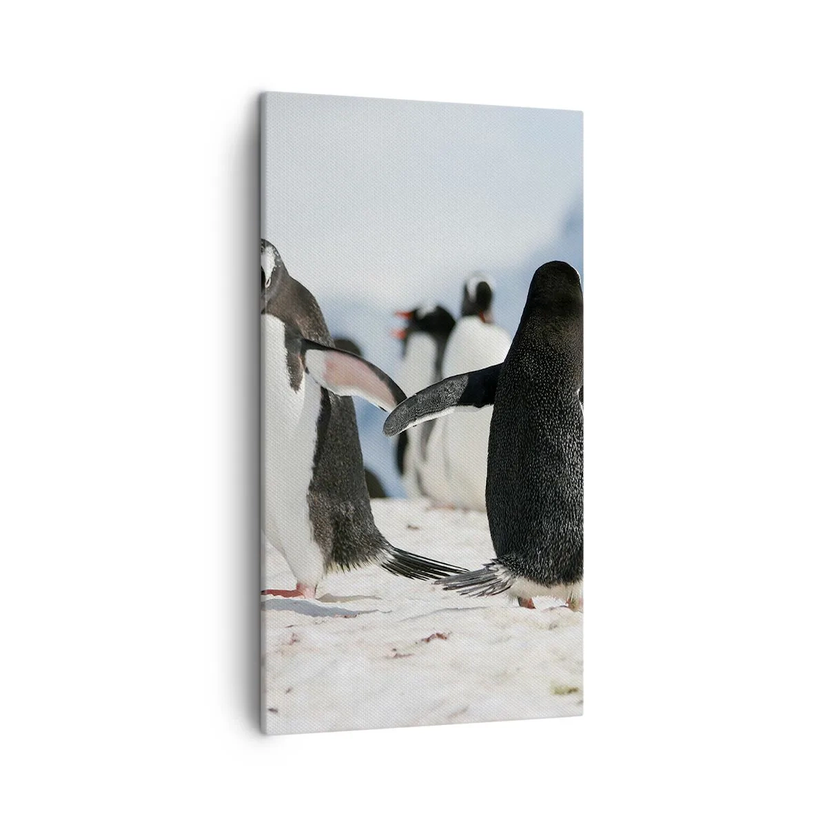 Canvastavla - Bild på duk - Dans på snön - 45x80 cm