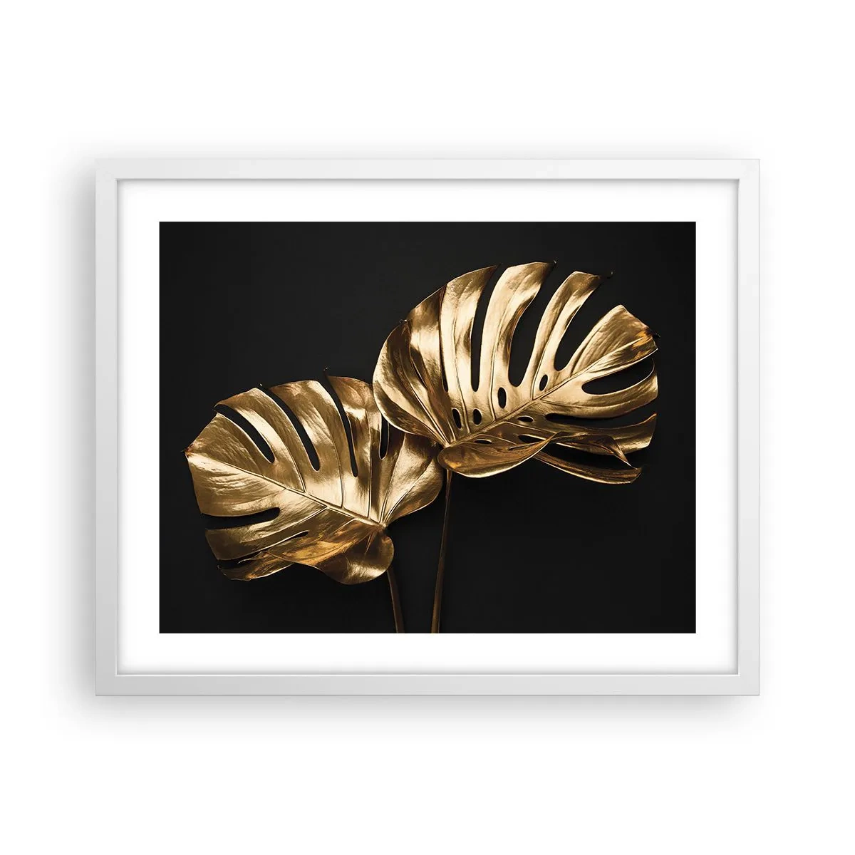 Affisch i vit ram - Naturens skatter - 50x40 cm