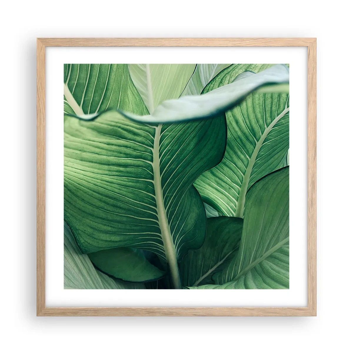 Affisch i ram av ljusek - Livet intensivt grönt - 50x50 cm
