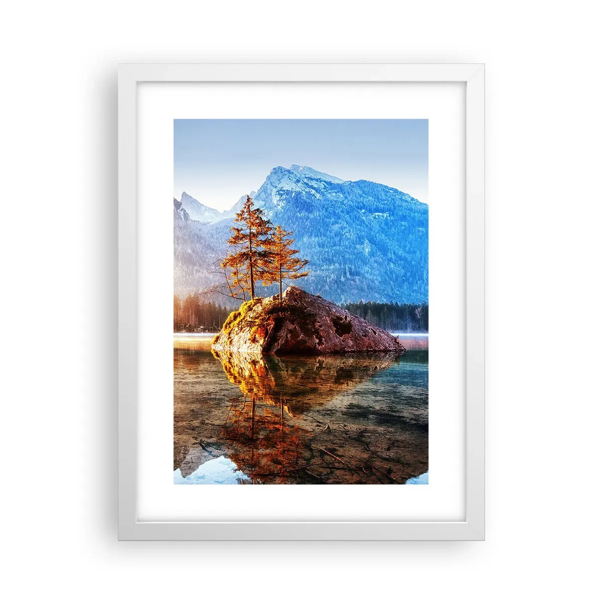 Affisch i vit ram - Naturen i ett nytt ljus - 30x40 cm