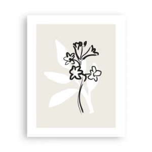 Affisch - Skiss till ett herbarium - 40x50 cm