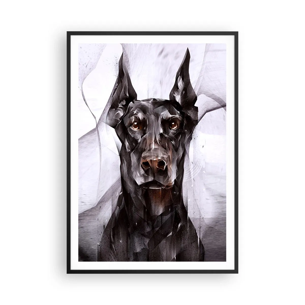 Affisch i svart ram - Rasren - 70x100 cm