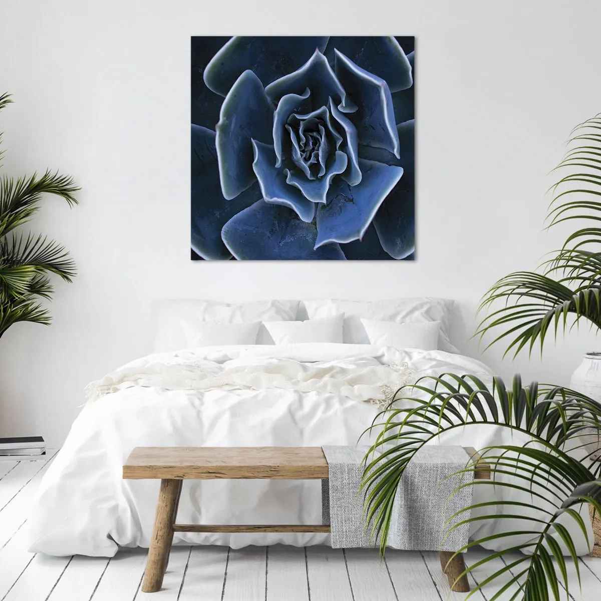 Canvastavla - Bild på duk - Öknens blomma - 30x30 cm