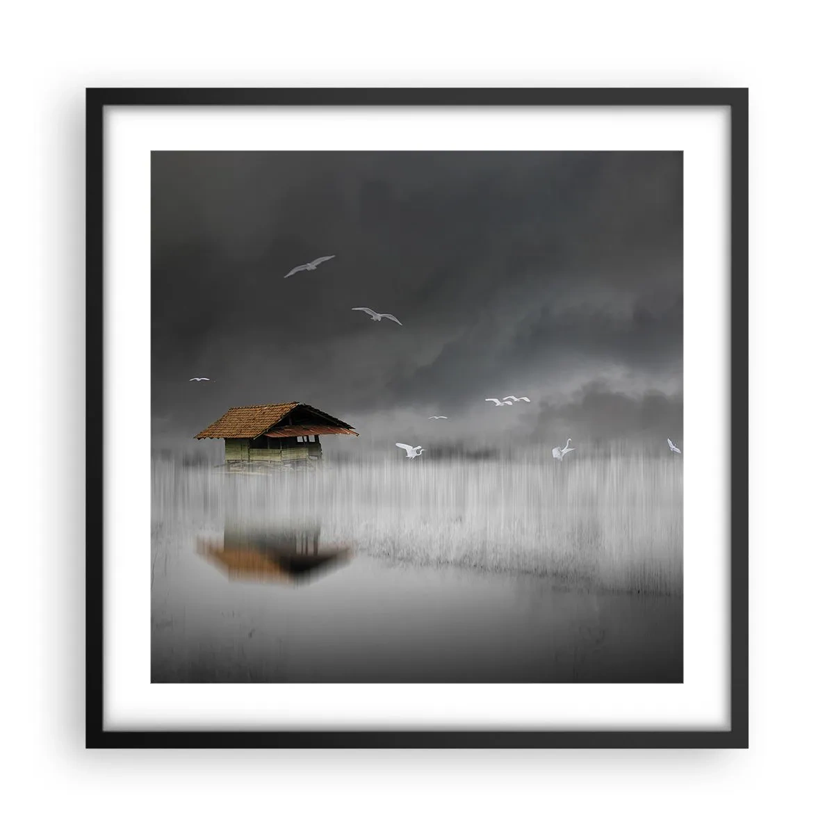 Affisch i svart ram - Regnskydd - 50x50 cm