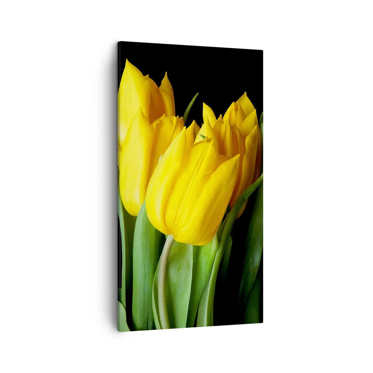 Canvastavla - Bild på duk - Skapad av rena solen - 45x80 cm