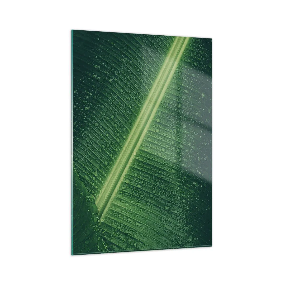 Glastavla - Bild på glas - Grönskans struktur - 50x70 cm
