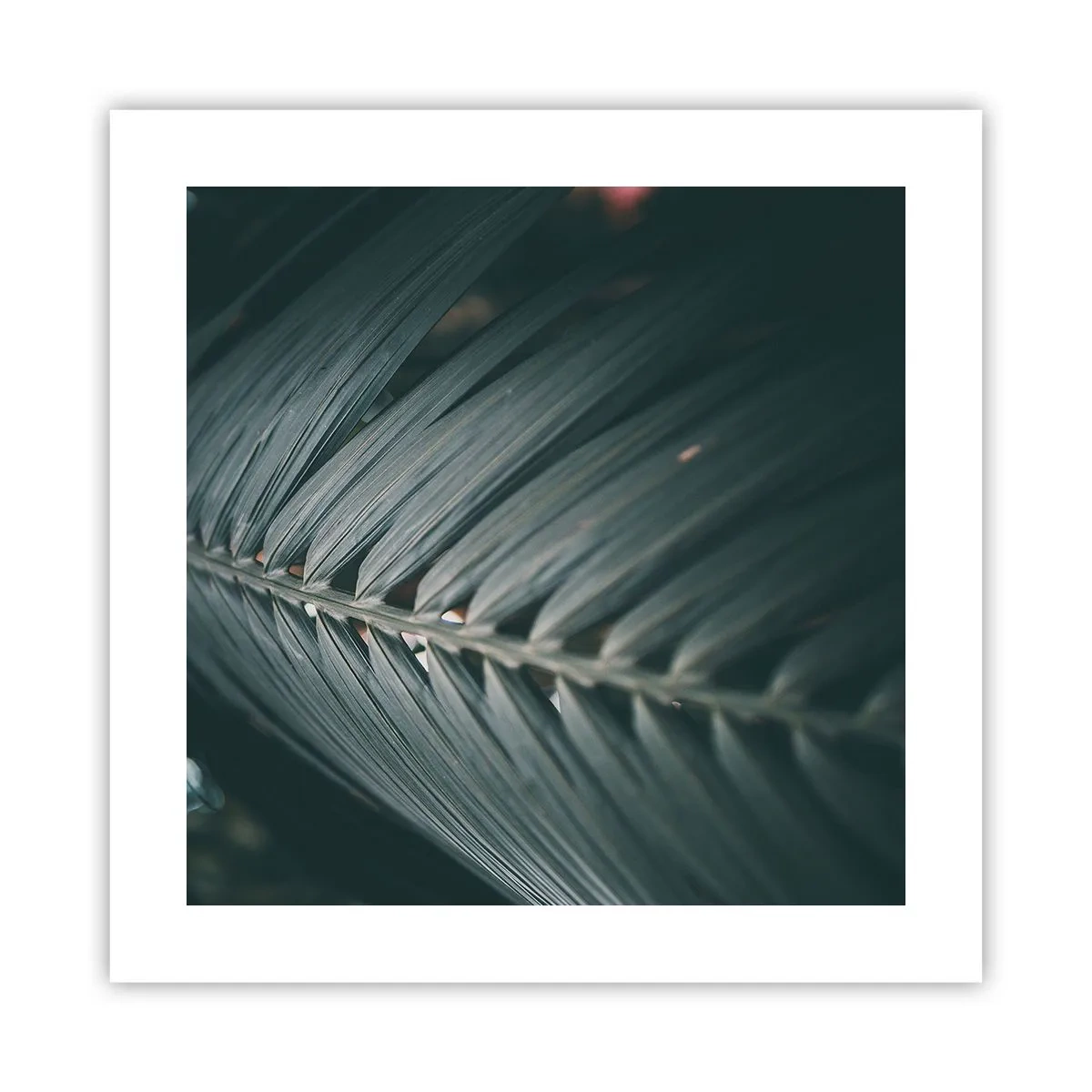 Affisch - Naturens precision - 40x40 cm