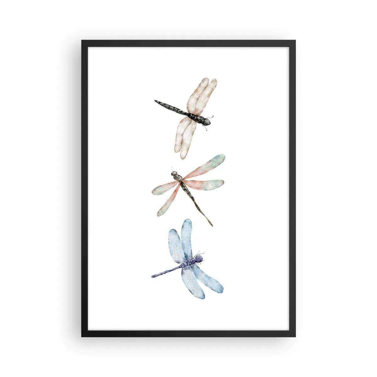 Affisch i svart ram - Tre trollsländor målade i akvarell - 50x70cm - Viktlösa trollsländor - Modern väggdekoration för vardagsrum och sovrum ARTTOR