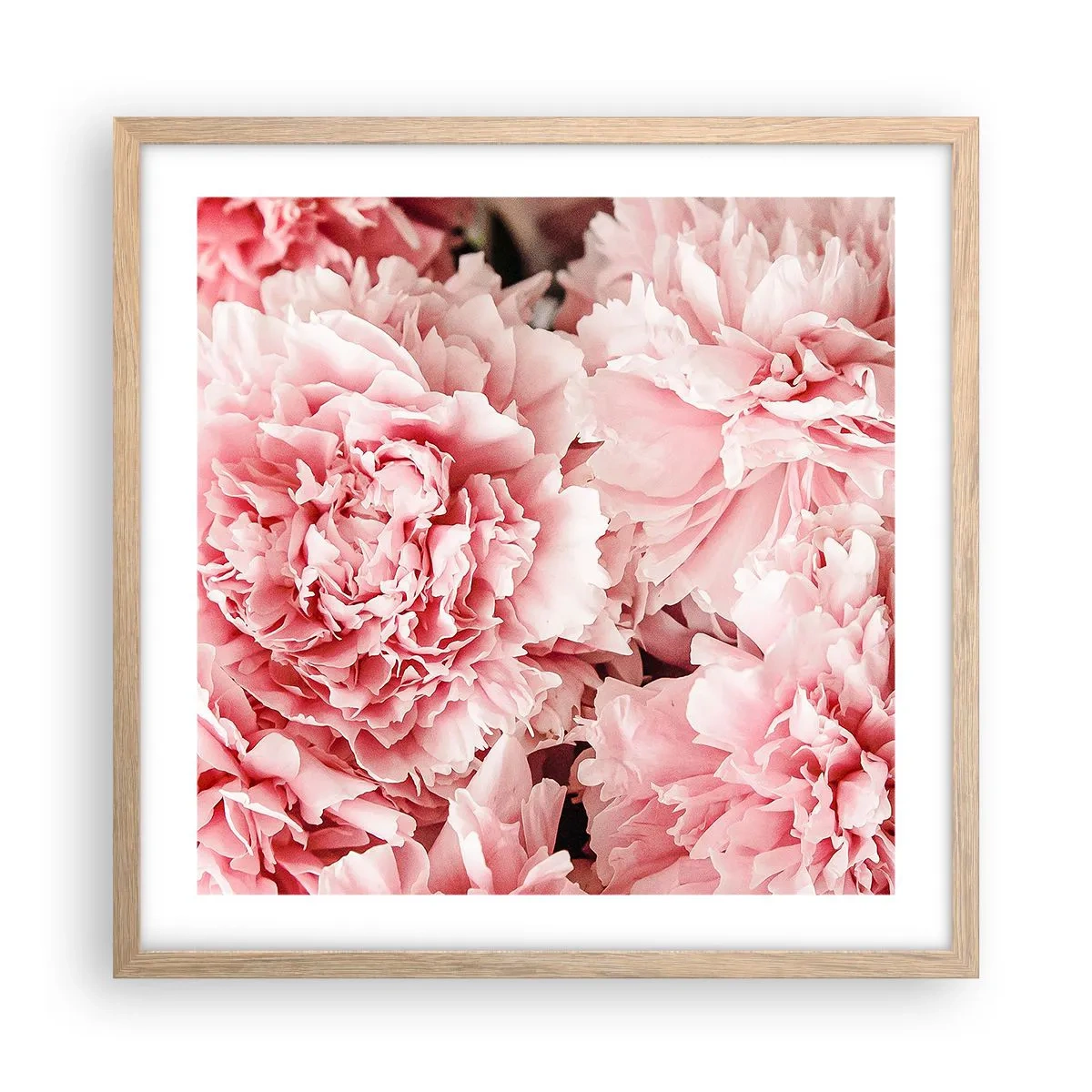 Affisch i ram av ljusek - Rosa dröm - 50x50 cm